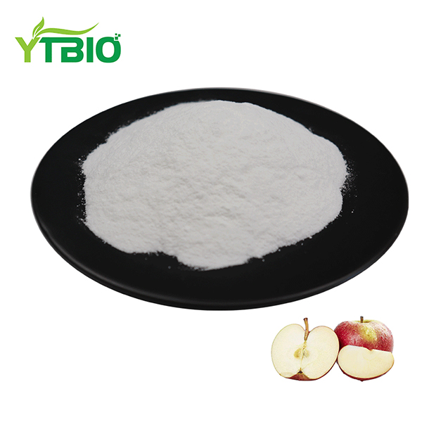 Phlorizin Powder